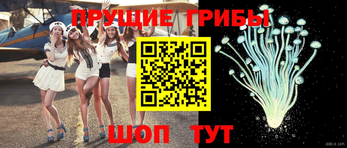 Галлюциногенные грибы прущие грибы Волгоград