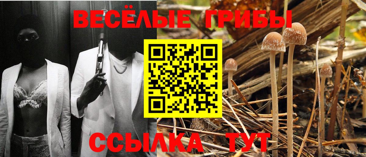 как найти закладки  Вход с VPN  Волгоград  Галлюциногенные грибы мухоморы 